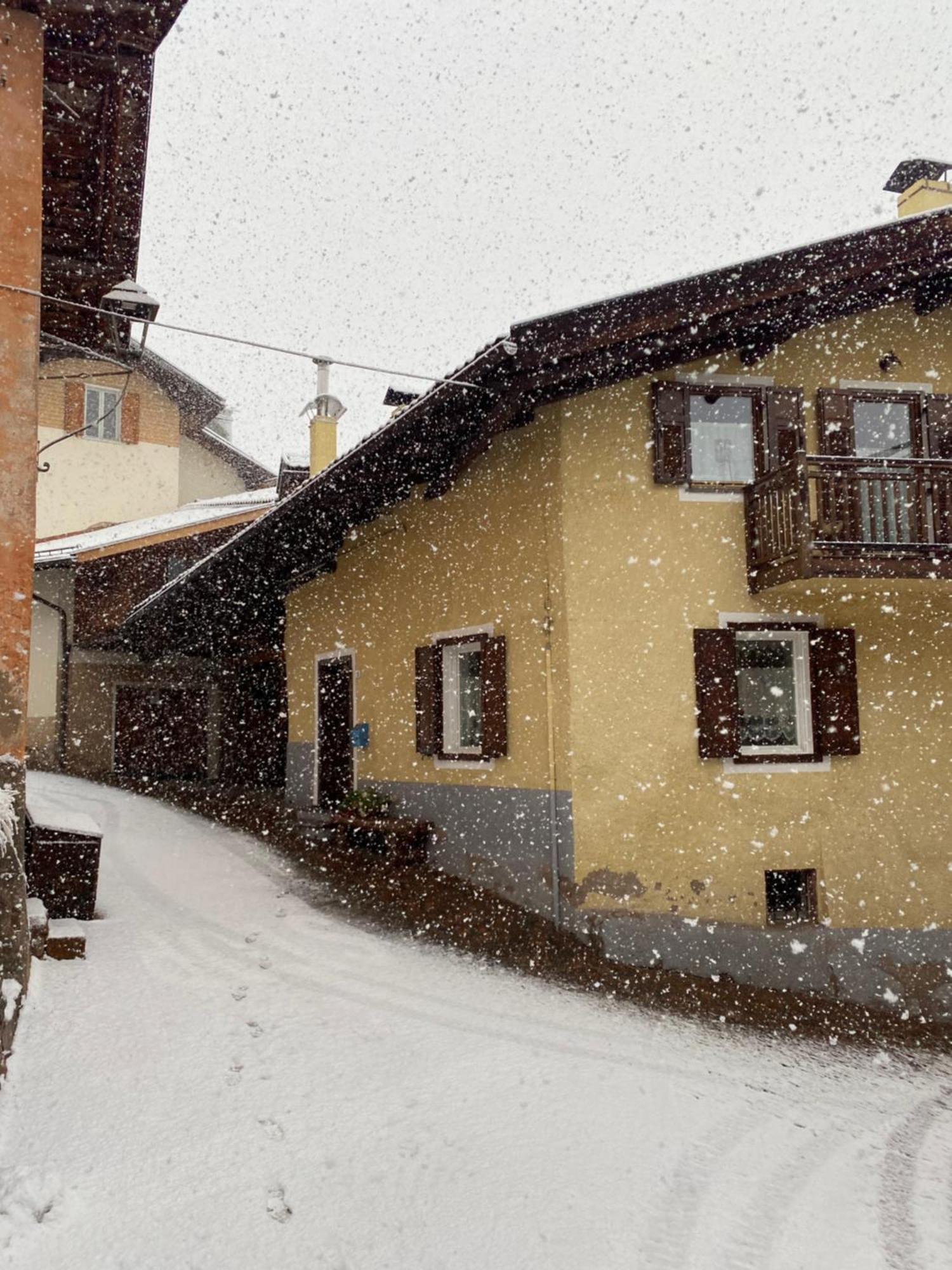 Casa Mia Fiemme Appartamento Carano (Trentino)
